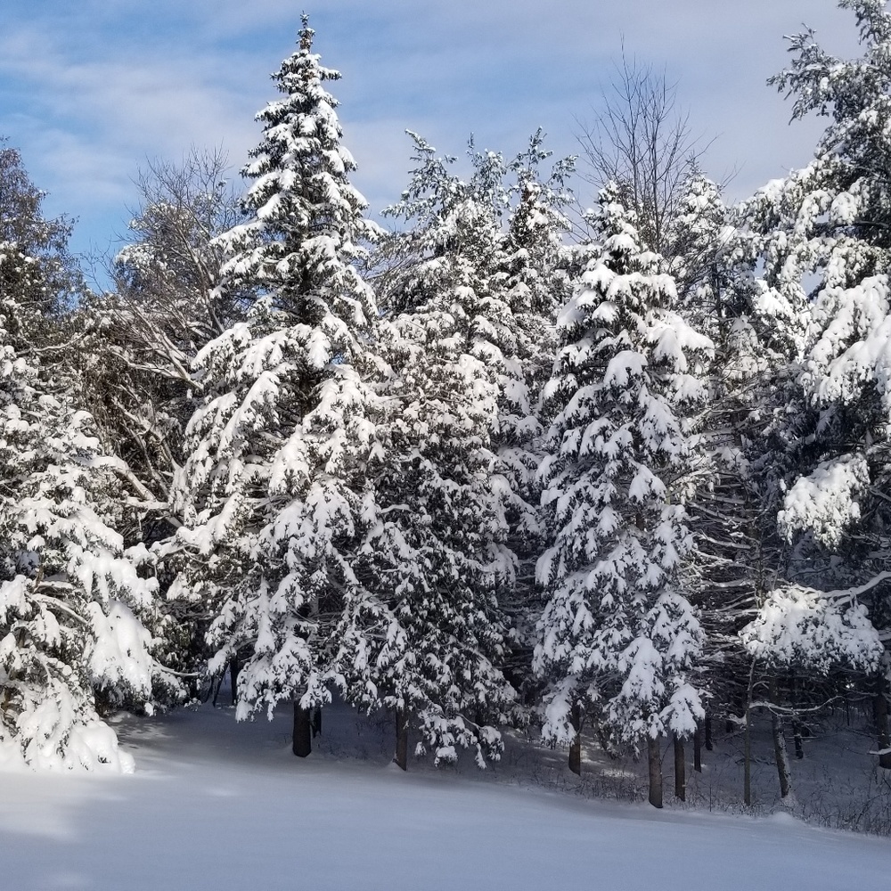 Meet your Posher, Laura 12